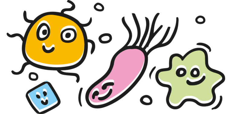 ilustracja szczęśliwych bakterii z kombuchy marki simple