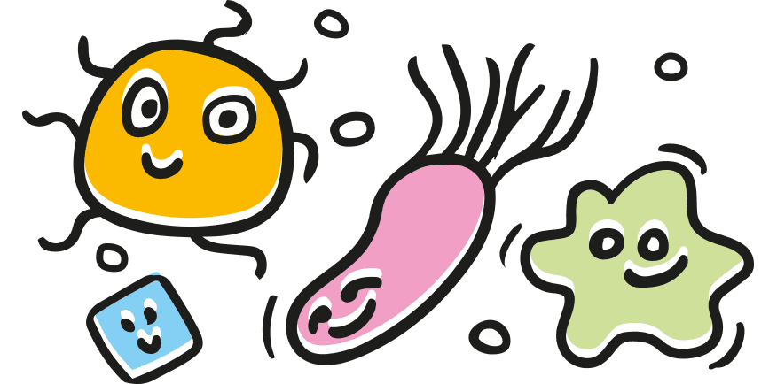 ilustracja szczęśliwych bakterii z kombuchy marki simple